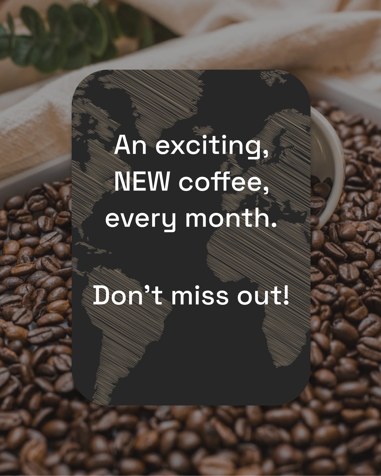 Premium Monthly Coffee Club -Roaster's Choice