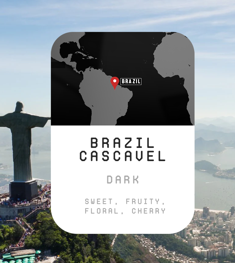 Premium Monthly Coffee Club -Roaster's Choice