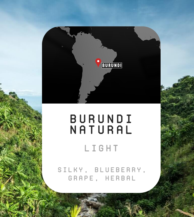 Premium Monthly Coffee Club -Roaster's Choice