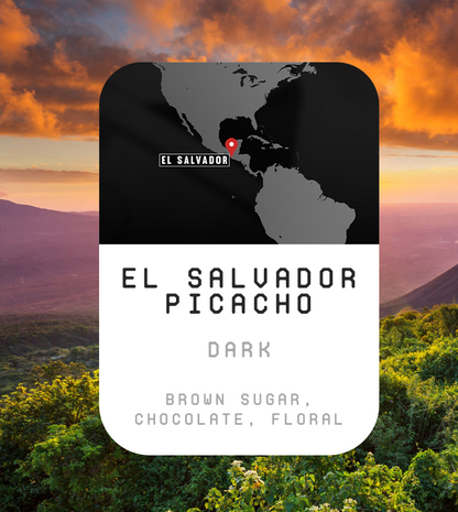 Premium Monthly Coffee Club -Roaster's Choice