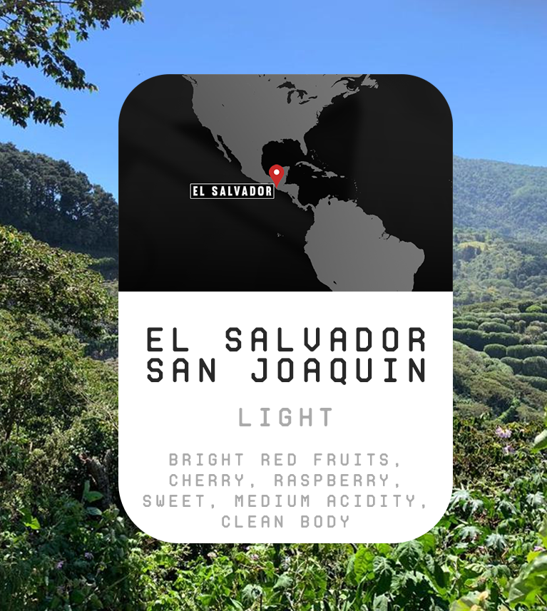 Premium Monthly Coffee Club -Roaster's Choice