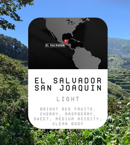 Premium Monthly Coffee Club -Roaster's Choice