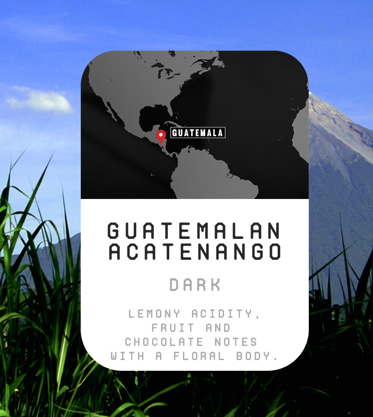 Premium Monthly Coffee Club -Roaster's Choice