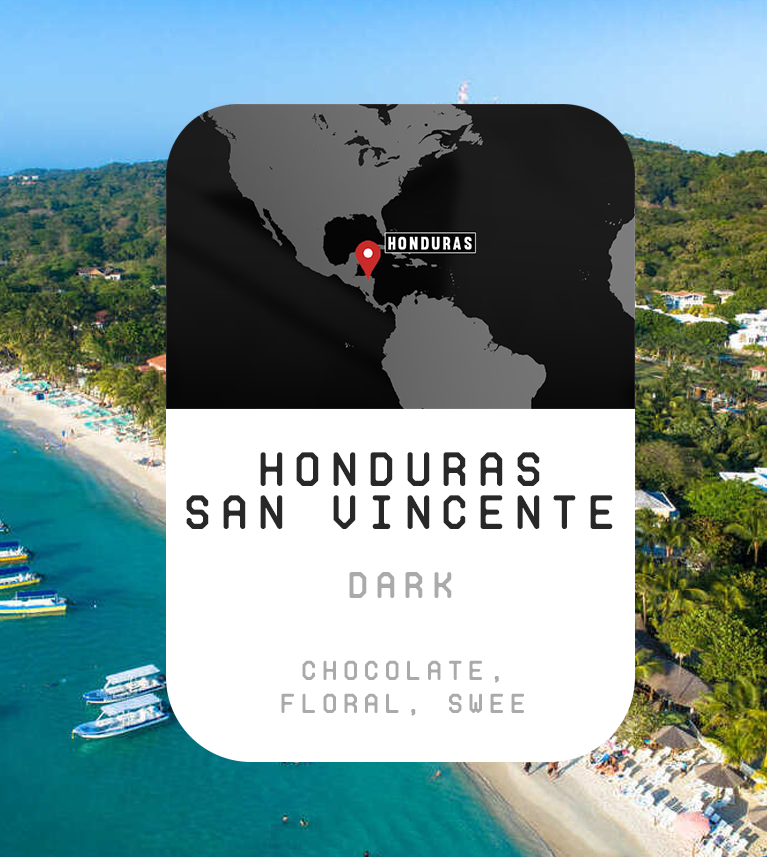 Premium Monthly Coffee Club -Roaster's Choice