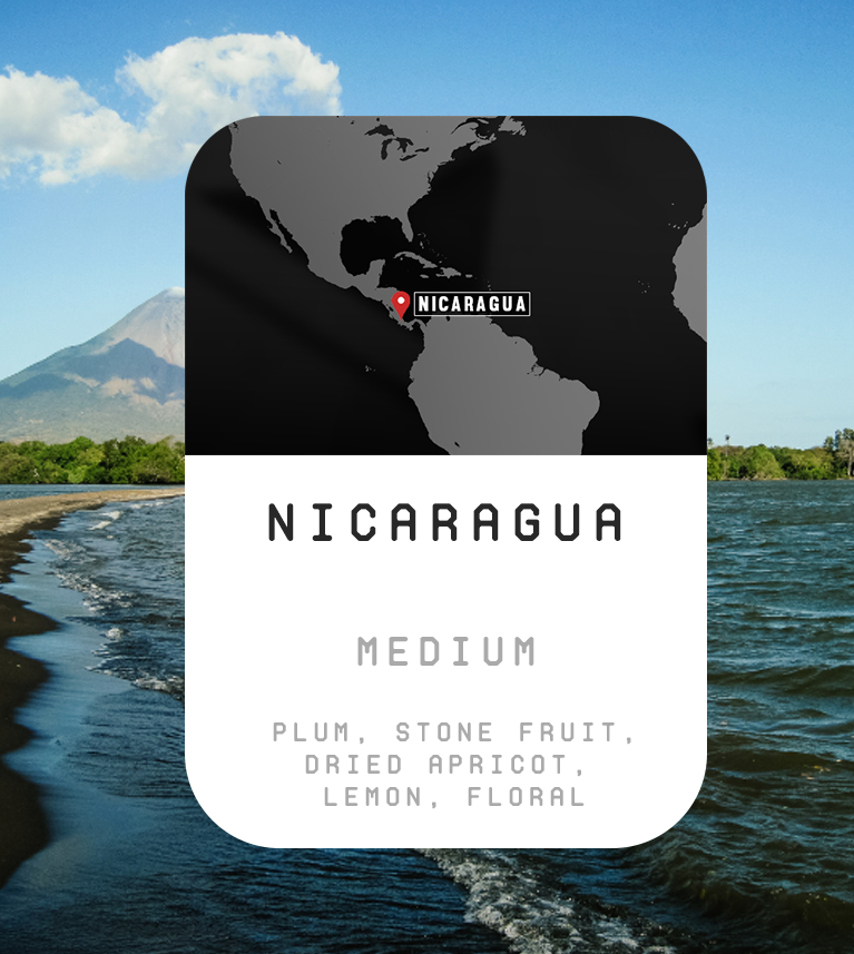 Premium Monthly Coffee Club -Roaster's Choice