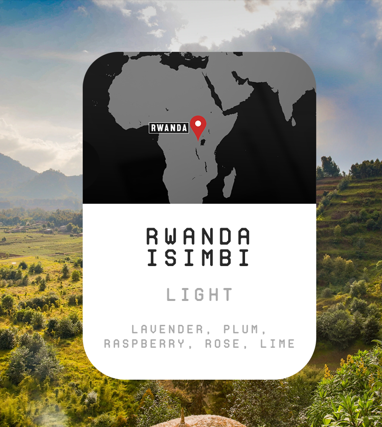 Premium Monthly Coffee Club -Roaster's Choice