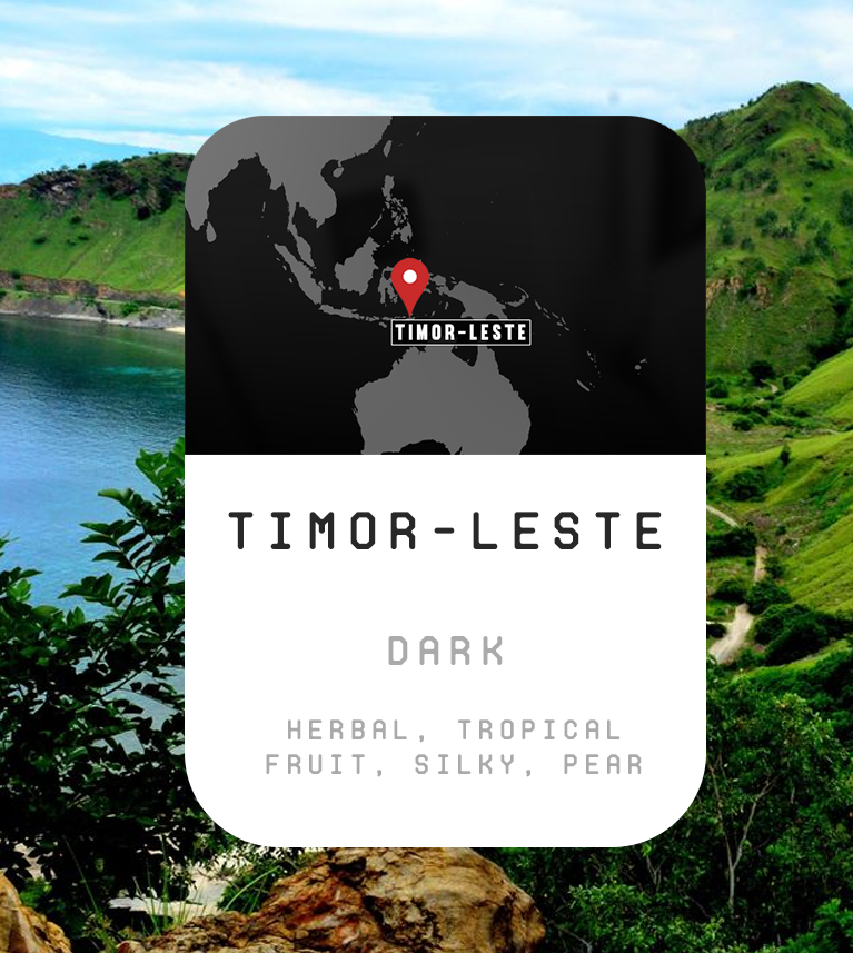 Premium Monthly Coffee Club -Roaster's Choice